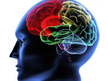 Crean sensores que monitorean lesiones cerebrales Crean sensores que monitorean lesiones cerebrales