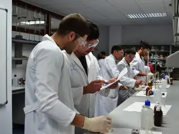Nueva terapia contra el cáncer gracias a hormonas sintéticas de una planta Nueva terapia contra el cáncer gracias a hormonas sintéticas de una planta