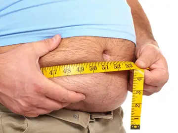 Imagen de una persona obesa Imagen de una persona obesa