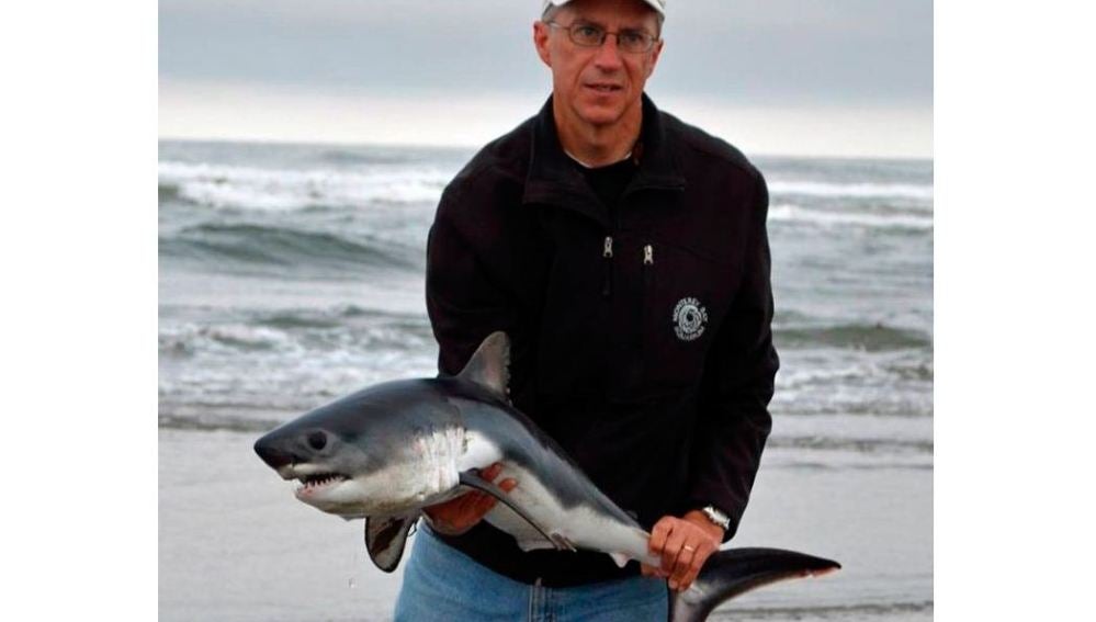 Un hombre encuentra un pequeño tiburón en una playa de EEUU