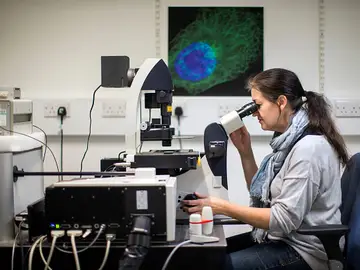 Científicos estadounidenses crean un medicamento inyectable contra el cáncer Científicos estadounidenses crean un medicamento inyectable contra el cáncer
