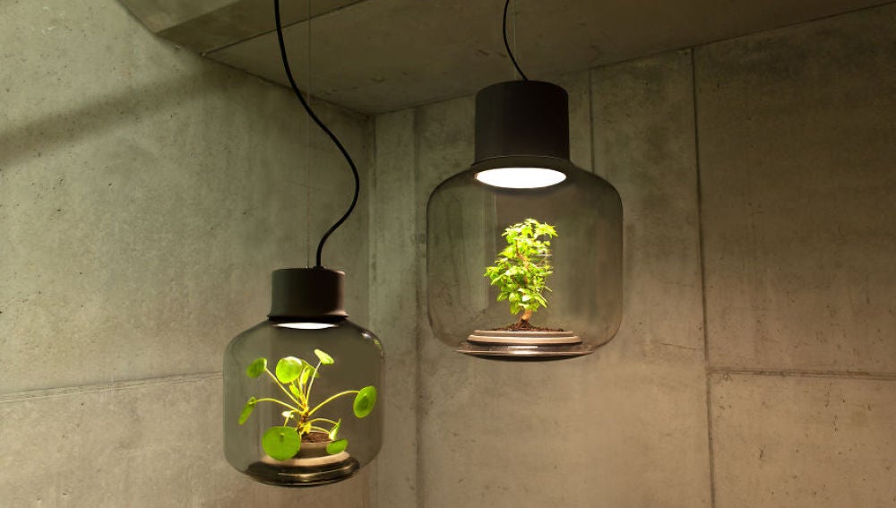 Mygdal Plantlamp, una lámpara para cultivar plantas sin luz natural 