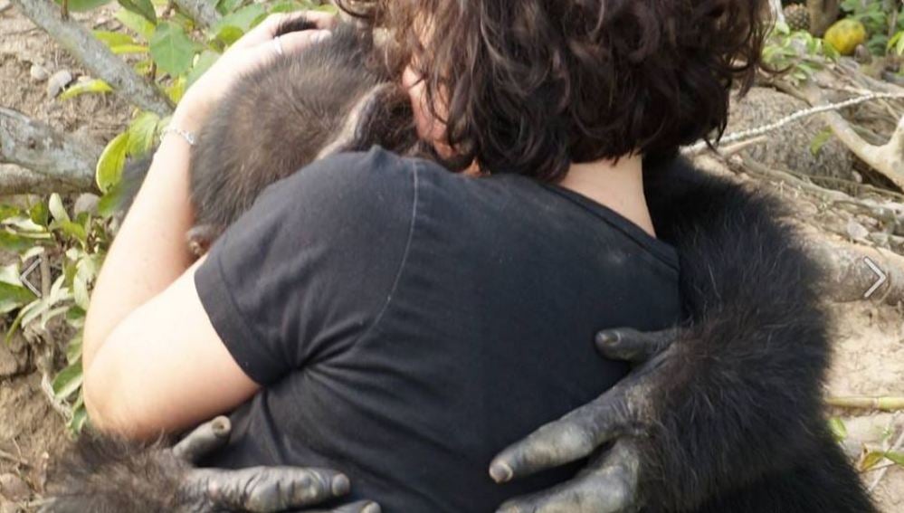 Ponso, un chimpancé abandonado
