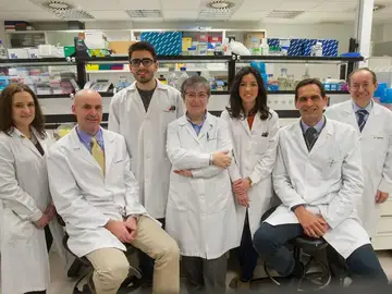 Investigadores de la Universidad de Navarra Investigadores de la Universidad de Navarra