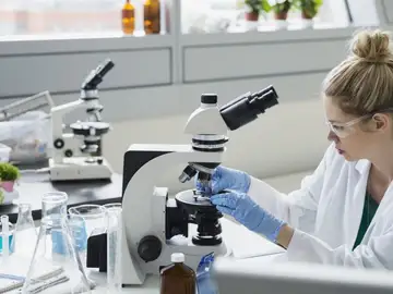 Recuperan un fármaco abandonado que podría resultar eficaz contra varios virus humanos Recuperan un fármaco abandonado que podría resultar eficaz contra varios virus humanos