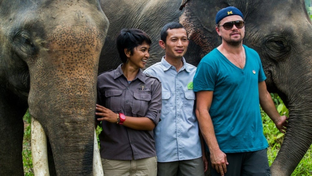 Leonardo DiCaprio, comprometido contra la caza furtiva de orangutanes y elefantes