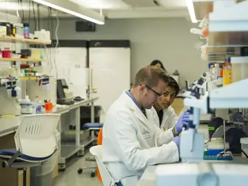 Científicos trabajando en un laboratorio Científicos trabajando en un laboratorio