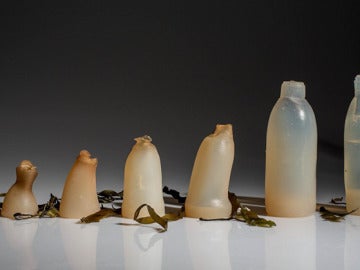 Botellas biodegradables hechas de algas 