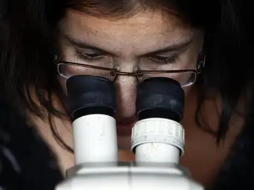 Mujeres en el sector científico Mujeres en el sector científico