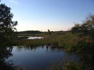 Parque Nacional de Doñana Parque Nacional de Doñana