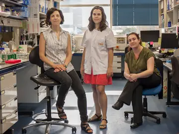 Científicos identifican biomarcadores que predicen el efecto de los fármacos antiangiogénicos en cáncer renal Científicos identifican biomarcadores que predicen el efecto de los fármacos antiangiogénicos en cáncer renal