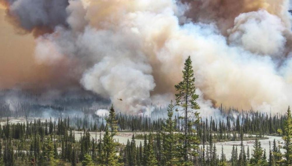 'Wildfire'