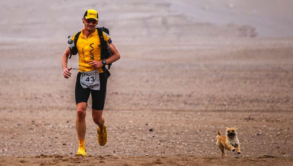 Gobi, la perrita callejera que corrió una carrera de 250 kilómetros junto a un atleta 