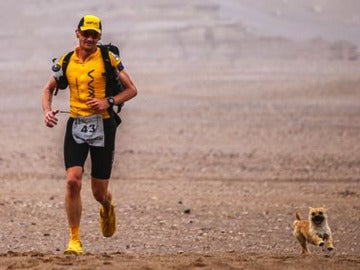 Gobi, la perrita callejera que corrió una carrera de 250 kilómetros junto a un atleta 