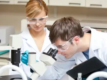Científicos investigando Científicos investigando
