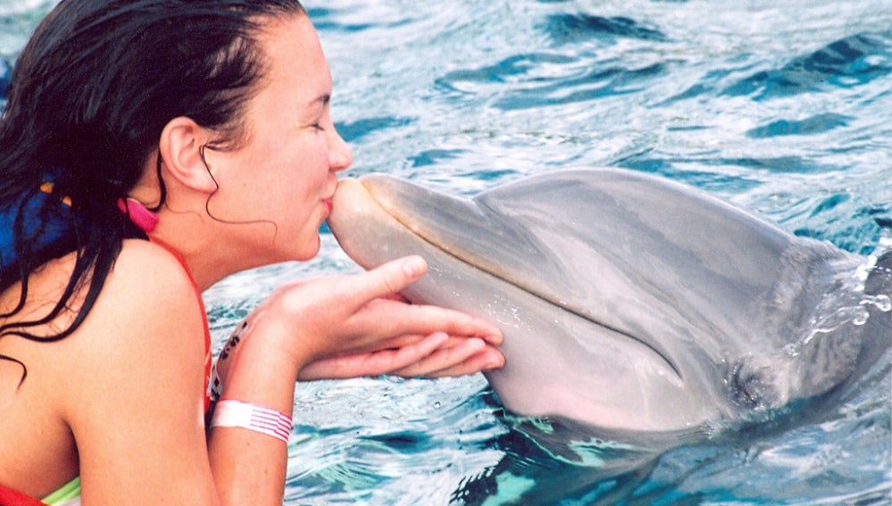 ¿Qué supone para los delfines nadar con ellos como actividad recreativa? 
