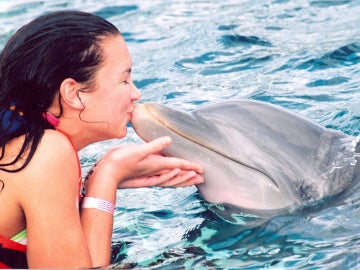 ¿Qué supone para los delfines nadar con ellos como actividad recreativa? 
