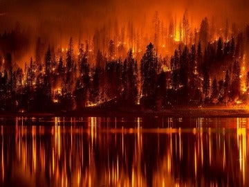Los incendios forestales queman en España un 20 % menos de superficie que hace un año