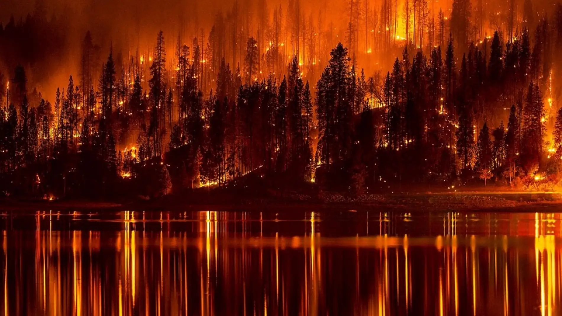 Los incendios forestales queman en España un 20 % menos de superficie que hace un año