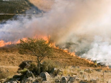 África es el continente más afectado por los incendios África es el continente más afectado por los incendios