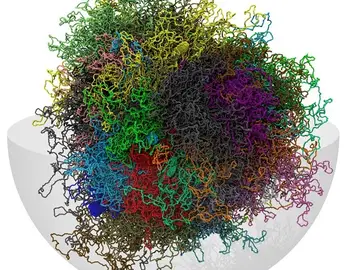 Desarrollan un modelo informático en 3-D del genoma humano Desarrollan un modelo informático en 3-D del genoma humano