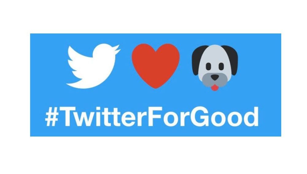  'Twitter For Good', una iniciativa que convierte un tuit en un día de alimento para un animal abandonado 