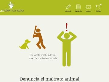 'Yo Denuncio', la primera web para denuncias de maltrato animal 