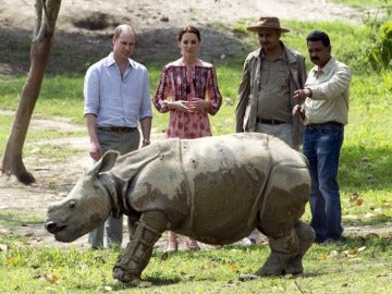 Los duques de Cambridge visitan una cría de rinoceronte