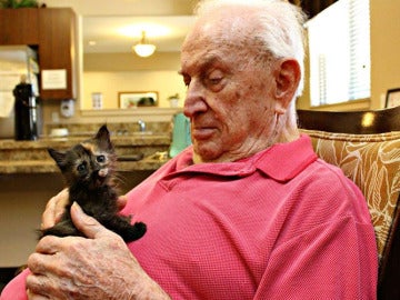 Los ancianos de una residencia proprocionan cariño y cuidados a gatitos abandonados Los ancianos de una residencia proprocionan cariño y cuidados a gatitos abandonados