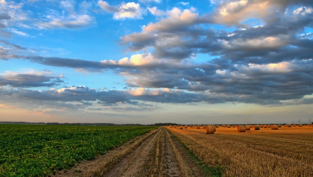 La mitad del suelo de España podría ser incultivable en 2040