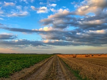 La mitad del suelo de España podría ser incultivable en 2040