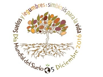 Hoy, 5 de diciembre, celebramos el Día Mundial del Suelo