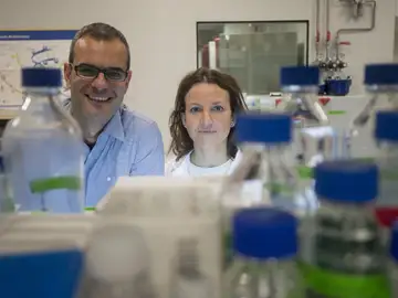 Científicos españoles descubren que las células tumorales necesitan grasa para hacer metástasis Científicos españoles descubren que las células tumorales necesitan grasa para hacer metástasis