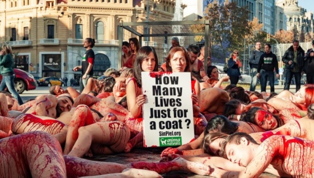 Decenas de personas se desnudan en Barcelona en protesta contra la industria peletera