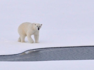 Nuevo record histórico del deshielo y el aumento de temperatura en el Ártico