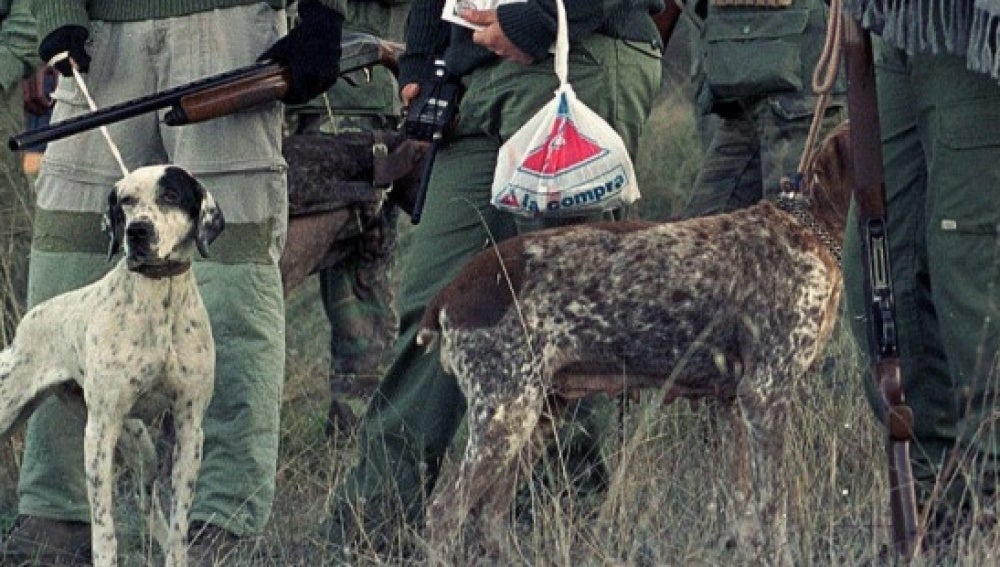 Más de 25 millones de animales son abatidos cada año como consecuencia de la caza en España