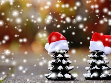 Cinco ideas para pasar una Navidad más verde