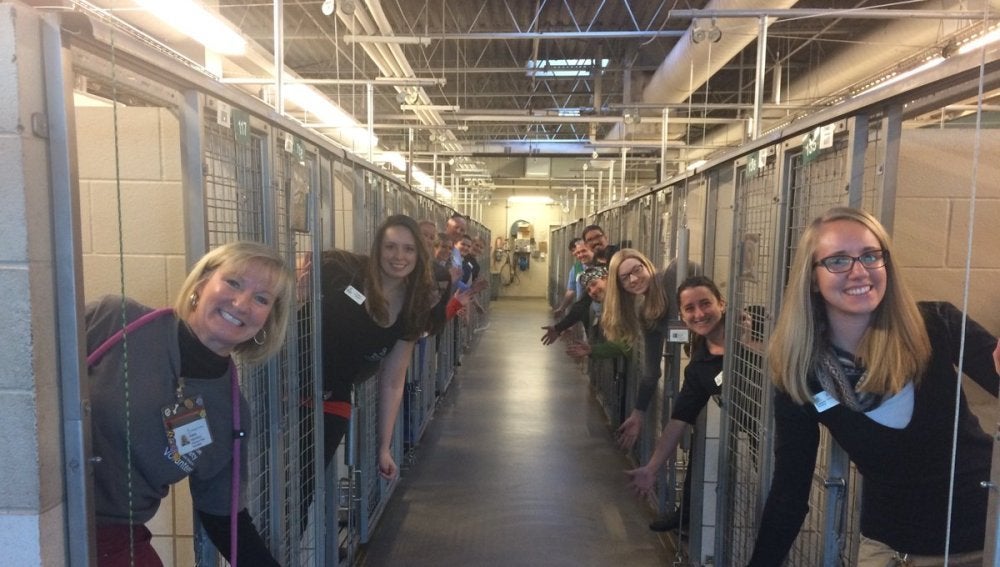Un refugio de animales celebra que todos sus perros y gatos han sido adoptados antes de Navidad