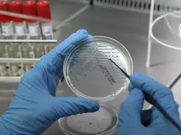 Barcelona se convertirá en subsede del Laboratorio Molecular Europeo Barcelona se convertirá en subsede del Laboratorio Molecular Europeo