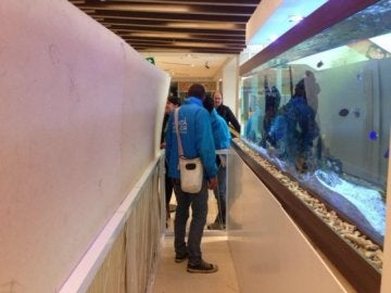 Incautan 40 animales marinos que malvivían en un centro comercial de Bogotá
