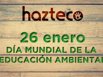 Se celebra el Día Mundial de la Educación Ambiental,  con el medio ambiente como asignatura pendiente 