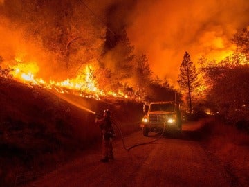 Los grandes incendios forestales aumentan un 63% en 2016 respecto al año anterior