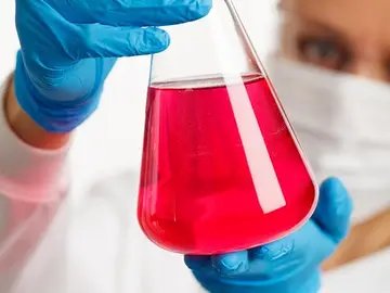 La Unión Europea financiará 15 proyectos españoles de investigación científica La Unión Europea financiará 15 proyectos españoles de investigación científica