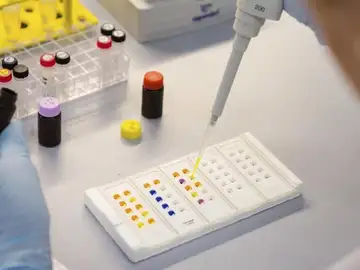 Investigación Investigación