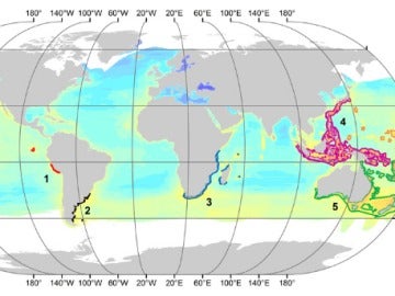 Seis regiones marinas están muy amenazadas por el calentamiento global