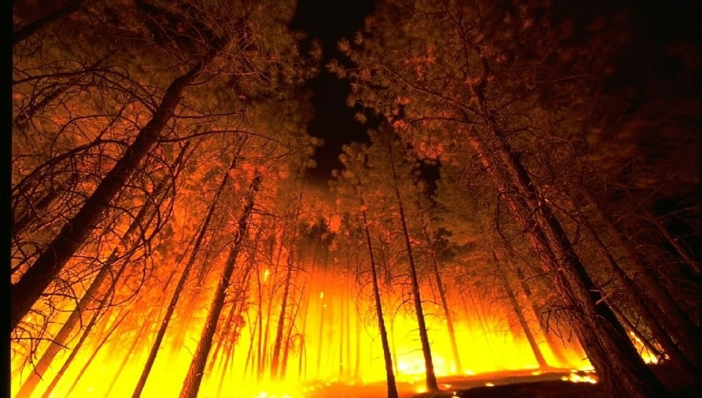 El fuego arrasa en enero de 2017 más del doble de hectáreas que la media del decenio