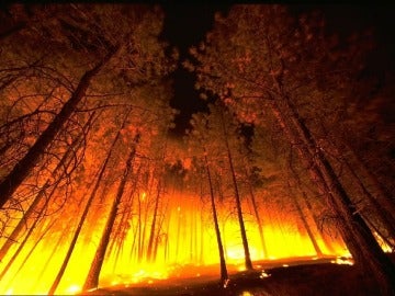 El fuego arrasa en enero de 2017 más del doble de hectáreas que la media del decenio