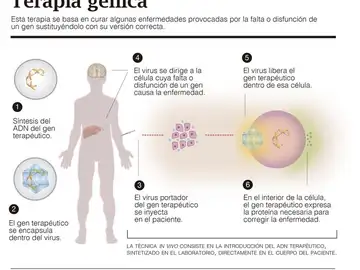 Las enfermedades raras, originadas por un solo gen, podrían curarse con la terapia génica Las enfermedades raras, originadas por un solo gen, podrían curarse con la terapia génica