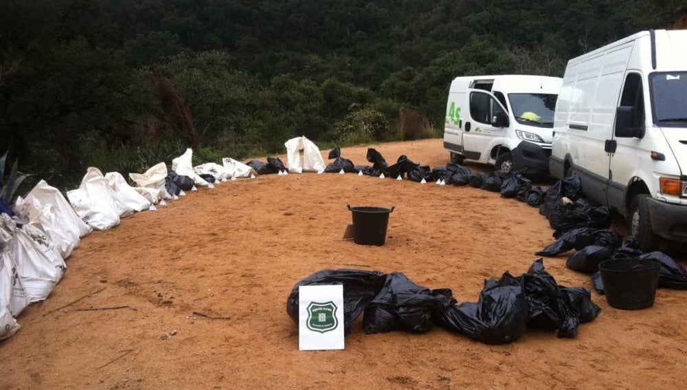 Hallan 87 cadáveres de perros y gatos hacinados en bolsas de basura en Girona