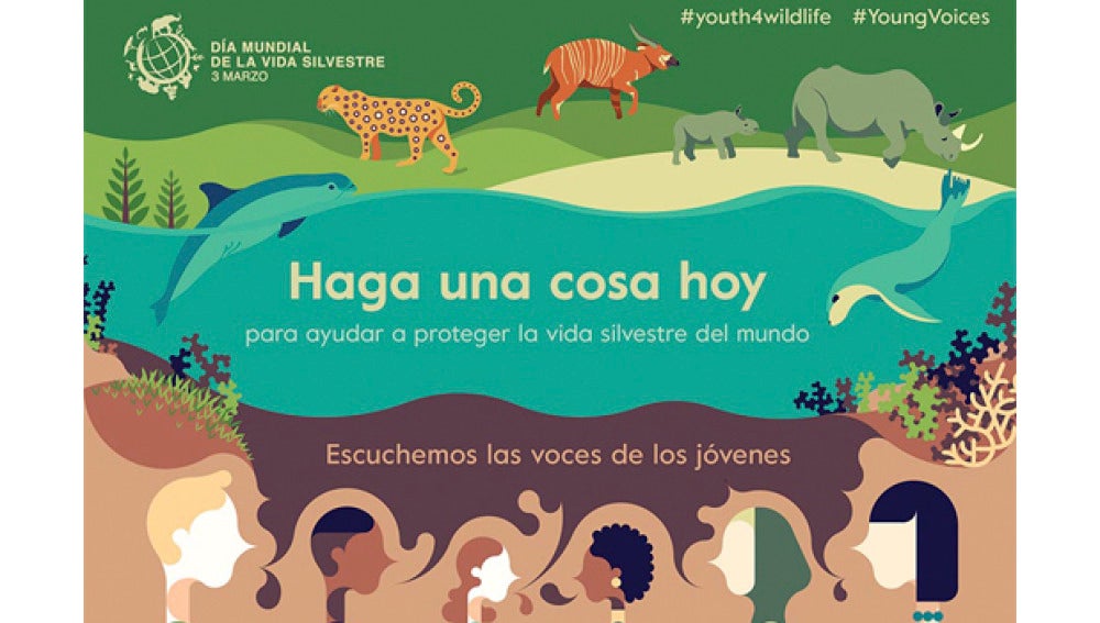 Escuchemos las voces de los jóvenes en el Día Mundial de la Vida Silvestre